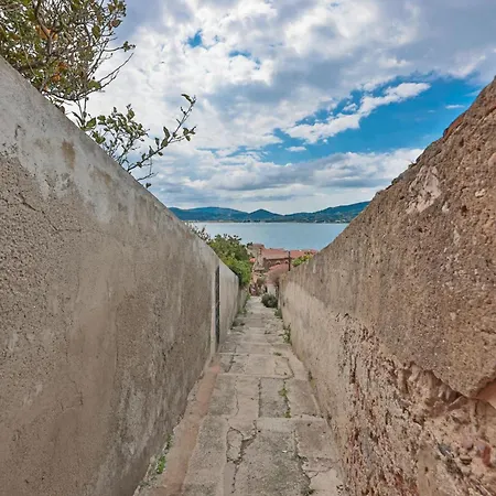 Cosmopoli - La Stella *