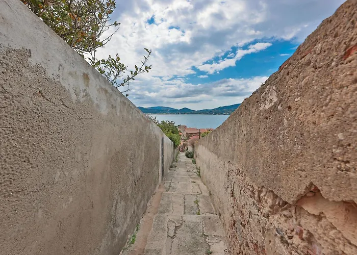 Cosmopoli - La Stella *